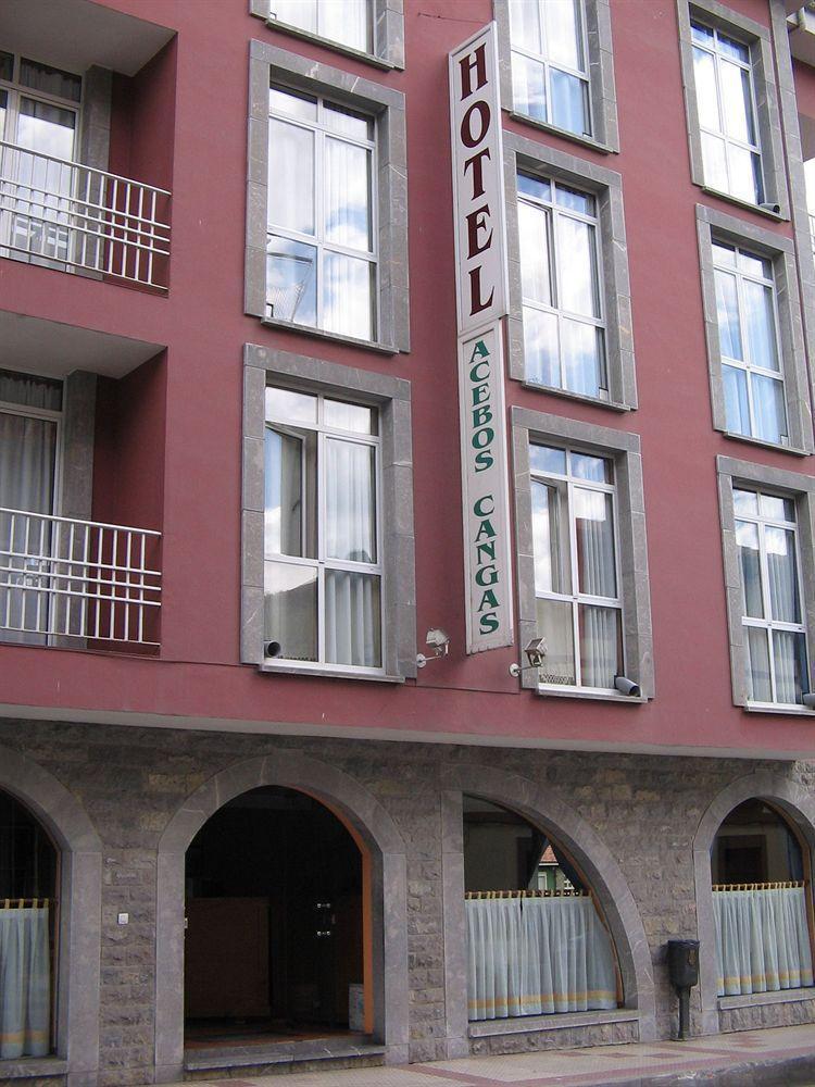 Los Acebos Cangas Onís Eksteriør billede